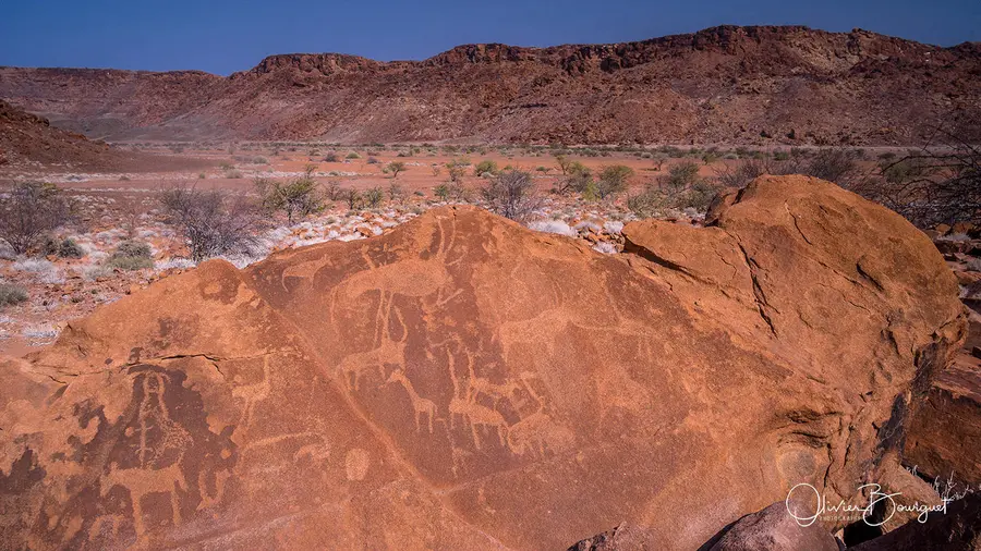 Namibie : desert, animaux, art rupestre, photo 52 d’Olivier Bourguet