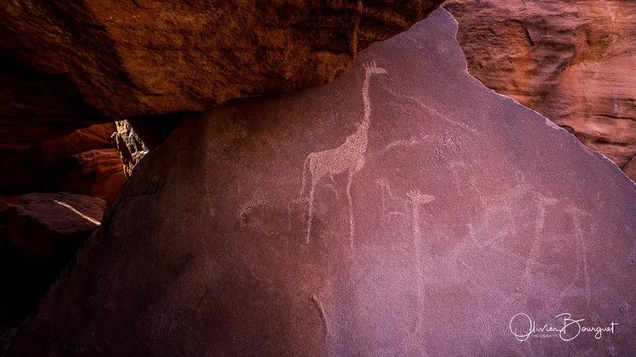 Gravure rupestre d’une girafe, Namibie