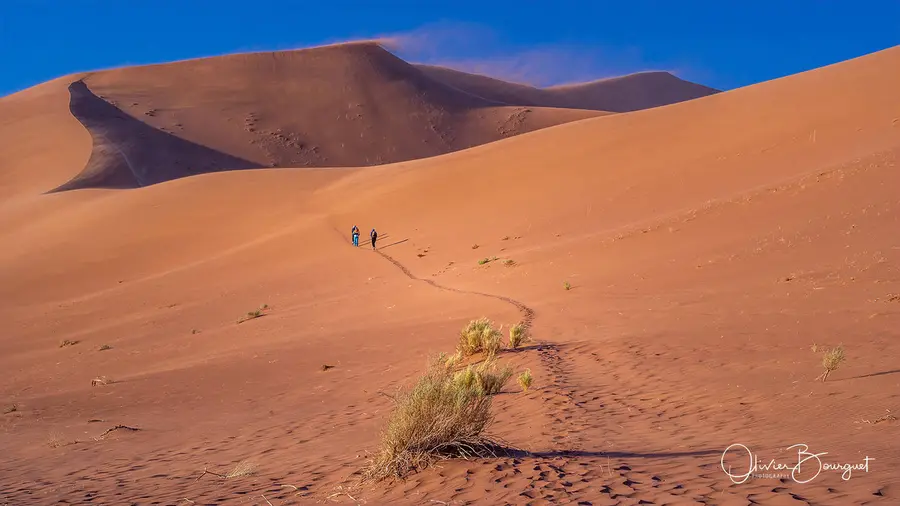 Namibie : desert, dunes, photo 41 d’Olivier Bourguet