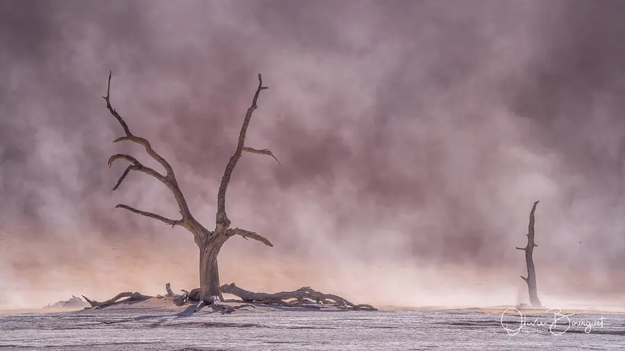 Sélection de mes plus belles images : namibie 6, photo 90 d’Olivier Bourguet