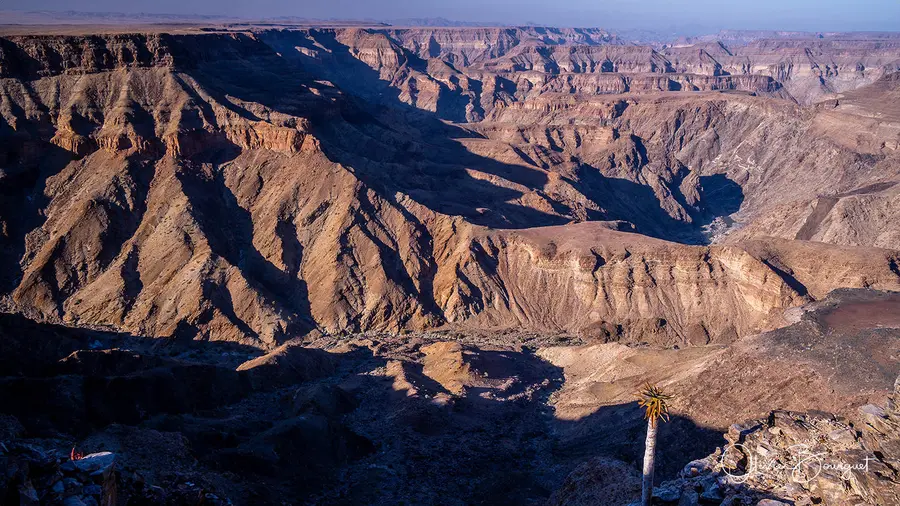 Namibie : paysages, fleurs, photo 35 d’Olivier Bourguet