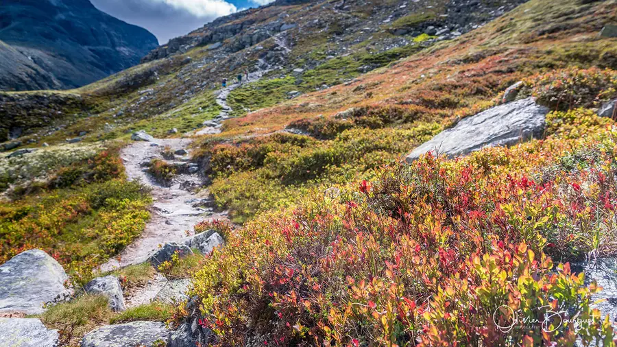 Scandinavie : norvège, paysages, montagnes, rando, photo 82 d’Olivier Bourguet