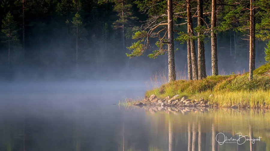 Scandinavie : norvège, lacs, forêt, photo 88 d’Olivier Bourguet