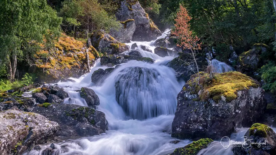 Best of : norvège, nature, photo 183 d’Olivier Bourguet