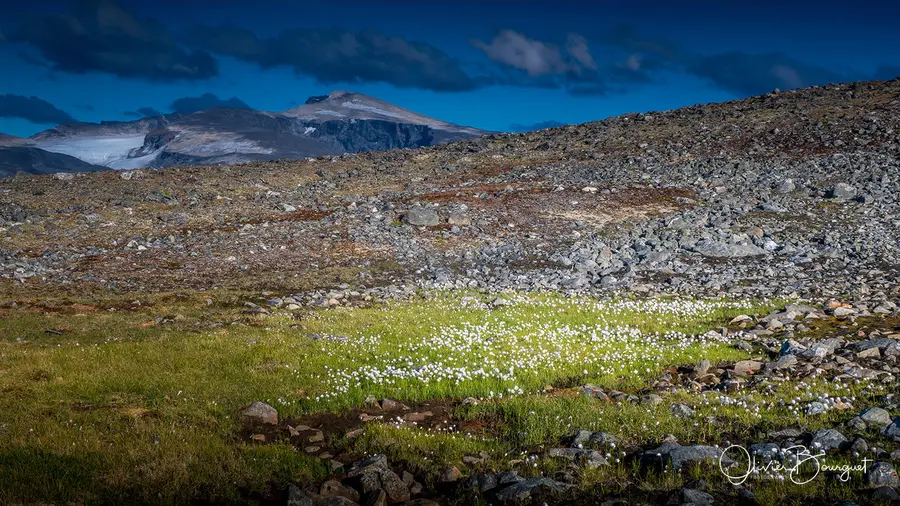 Sélection de mes plus belles images : norvège 9, photo 86 d’Olivier Bourguet