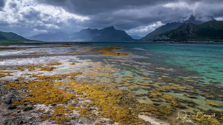 Scandinavie : norvège, paysages, îles Lofoten, paysages, photo 55 d’Olivier Bourguet