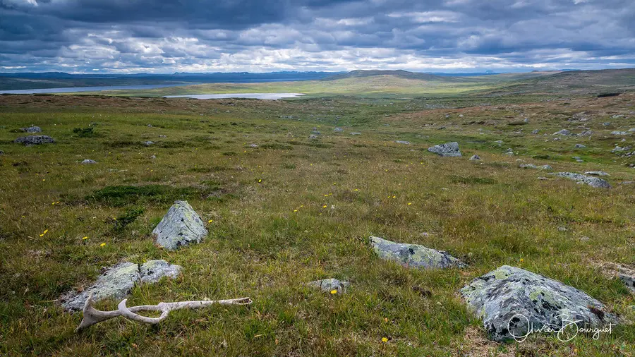 Scandinavie : norvège, paysages, montagnes, photo 7 d’Olivier Bourguet