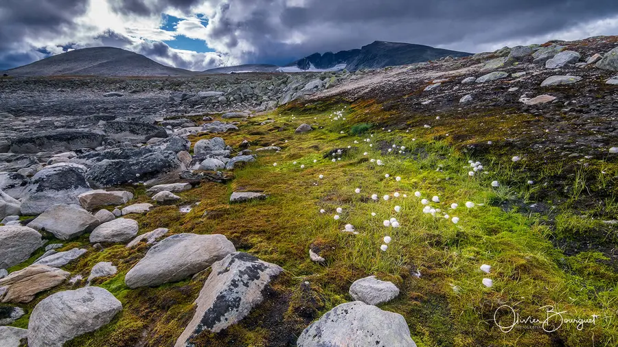 Best of : norvège, nature, paysages, nature, photo 190 d’Olivier Bourguet