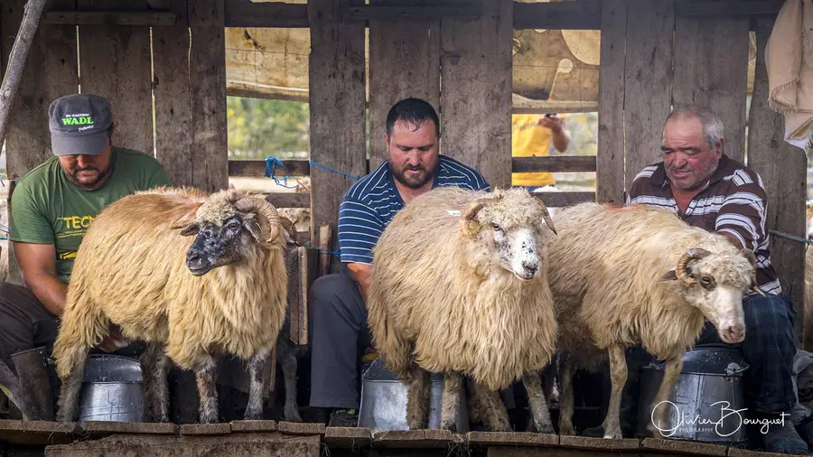 Best of : roumanie, portraits, traditions, activités, photo 261 d’Olivier Bourguet